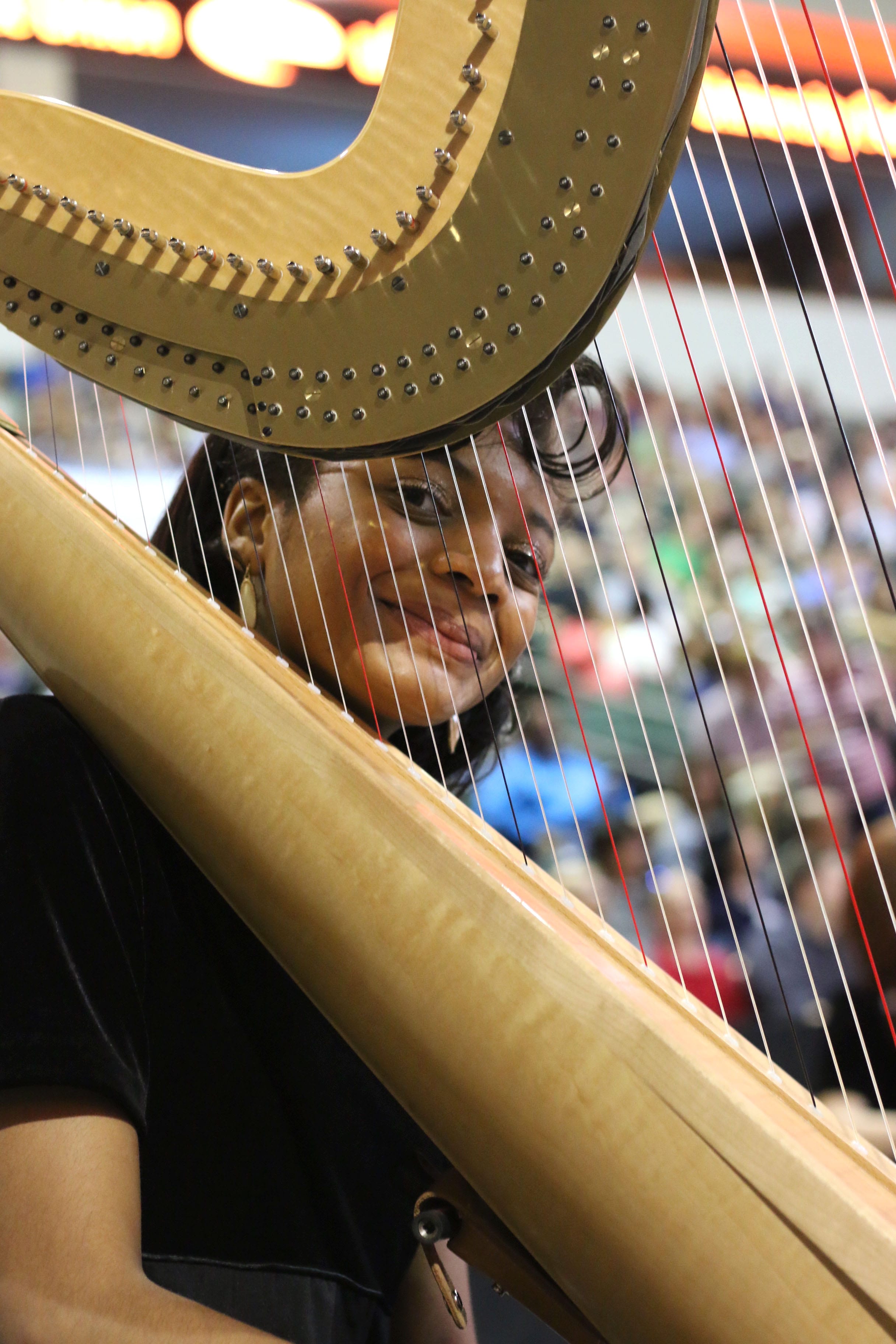 2021 Virtual Harp Ensemble Festival Registration Open