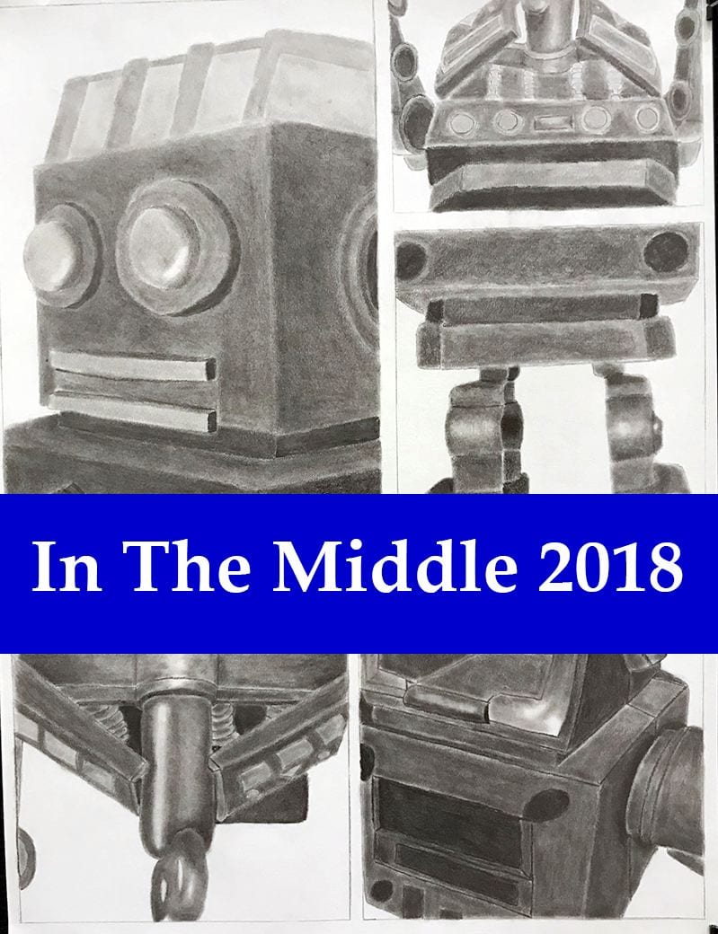Public invited to In The Middle; The 2018 Middle School Art Exhibition